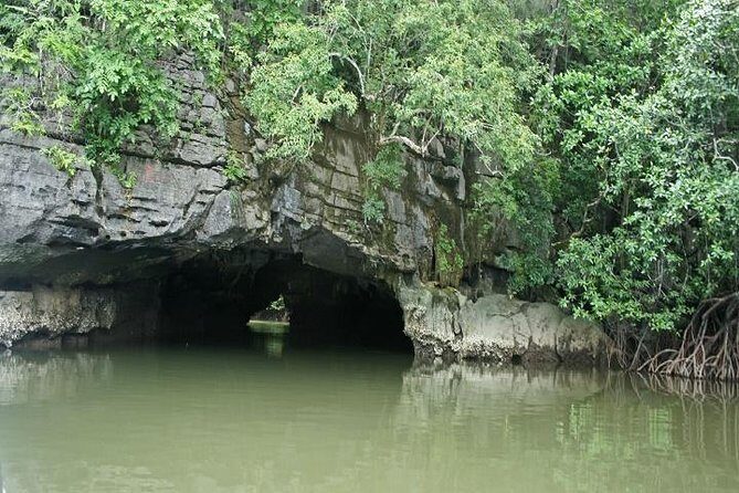 Private Tanjung Rhu Village and Mangroves by Boat in Langkawi - Key Points