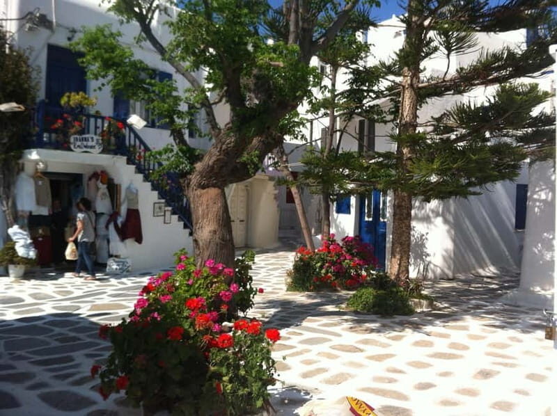 Private: Taste of Mykonos: Panoramic Views & Local Delights - Exploring Mykonos Through its Views and Flavors