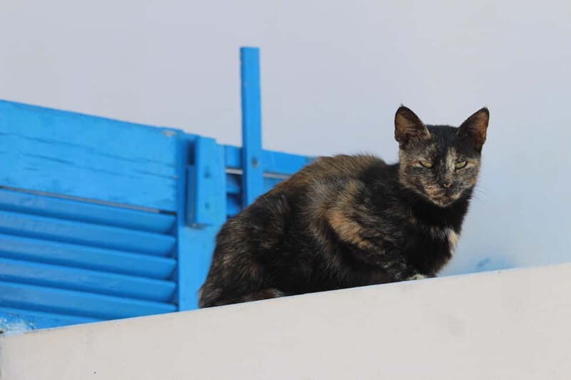 Private: Taste of Mykonos: Panoramic Views & Local Delights - Mykonos Brewing Company: A Craft Beer Oasis