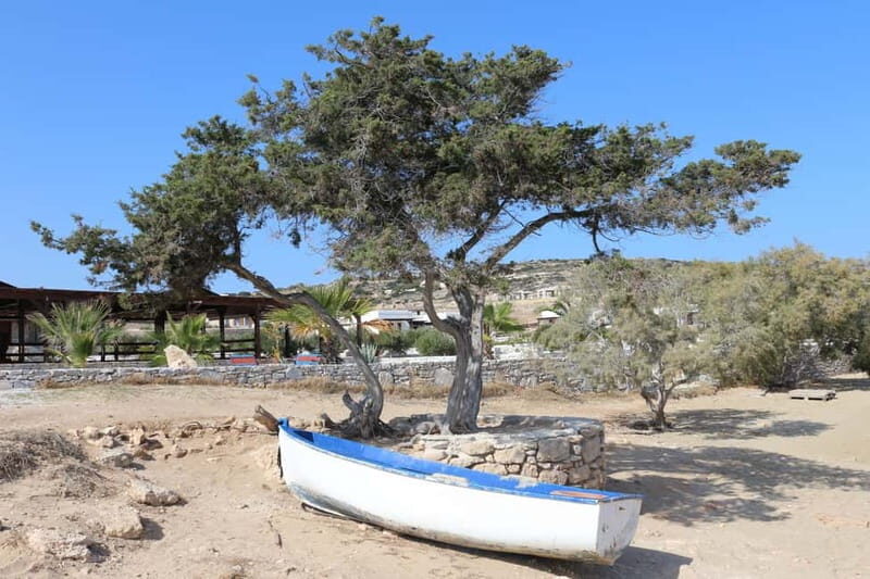 Private: Taste of Mykonos: Panoramic Views & Local Delights - Practical Details and What to Keep in Mind