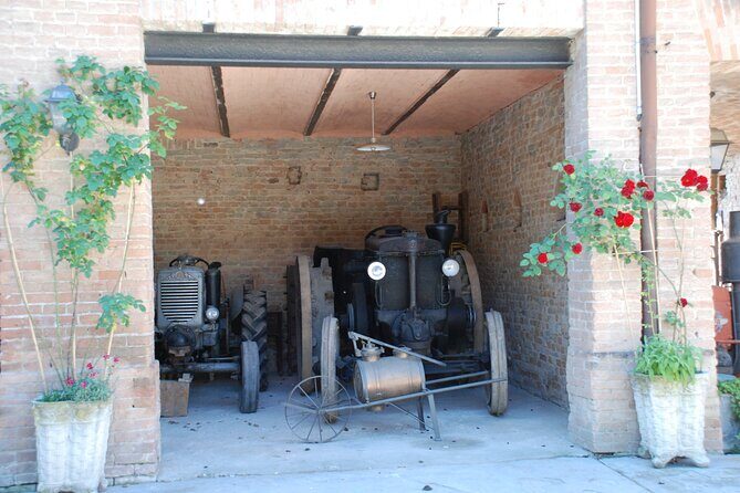 Private Tasting Barbaresco Experience with Typical Products - Who Should Book This Tour?