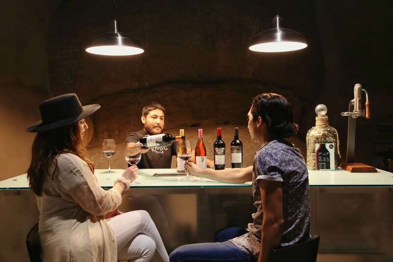 Private Tasting in Valle de Guadalupe Winery - What Makes the Underground Cellar Tasting Special?