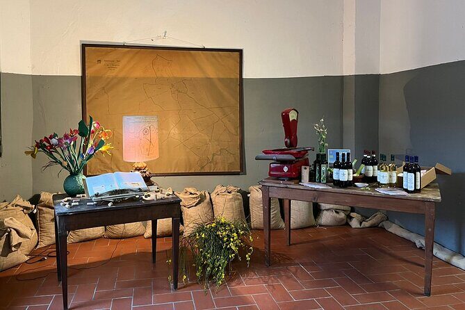 Private tasting of organic wines in the cellar in Arezzo - Exploring the Depths of a Historic Cellar in Arezzo