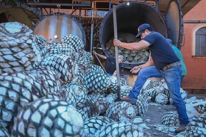 Private Tasting Tour Hacienda de Oro, Amatitan Jalisco - The Sum Up