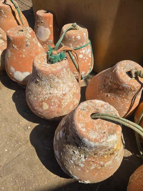 Private Tavira Jeep Tour - Salt Pans, Nature & Santa Luzia - A Deep Dive into the Tavira Jeep Experience