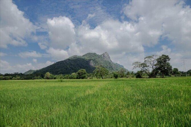 Private Taxi from Sri Lanka Airport (BIA-CMB) to Dambulla Hotels - Who Should Book This Service?