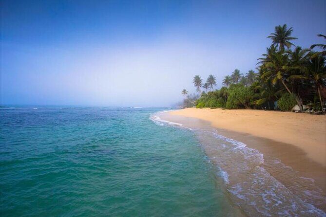 Private Taxi from Sri Lanka Airport (BIA-CMB) to Matara Hotels - Private Taxi from Sri Lanka Airport (BIA-CMB) to Matara Hotels: A Practical and Comfortable Transfer Experience