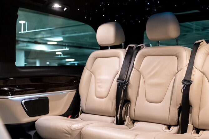 Private Taxi to Keukenhof Tulip Fields & Flowers From Amsterdam - The Sum Up