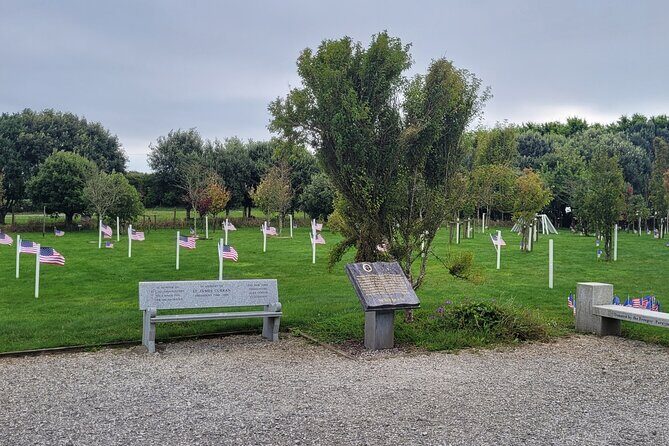 Private Taxi Tour of Blarney Castle ,Cork ,Kinsale 5 Star Rated - Practical Details You Should Know