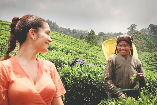 Private Tea Tour and Tea Factory - Exploring the Private Tea Tour and Tea Factory in Nuwara Eliya