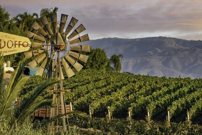 Private Temecula Wine Country Tour from San Diego - An Introduction to the Tour Experience