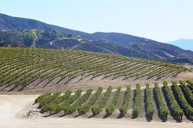 Private Temecula Wine Country Tour from San Diego - Transportation and Comfort