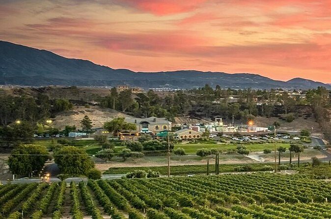 Private Temecula Wine Country Tour from San Diego - Real Traveler Perspectives