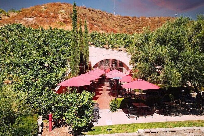 Private Temecula Wine Tour from Bonsall - FAQ