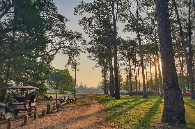 Private Temples Guided Tour (Angkor Wat, Ta Prom & Angkor Thom) - What Travelers Are Saying