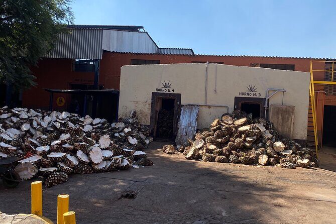 Private Tequila Tour - Detailed Review of the Tequila Tour Experience