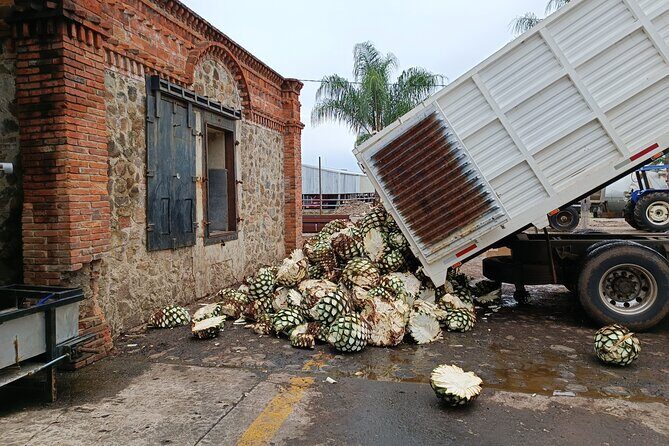 PRIVATE Tequila Valleys Tour: Pyramids, Volcanoes, Agaves&Tequila - FAQs