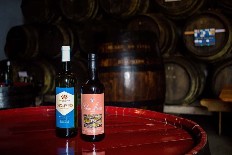 Private Terceira Island Caves: Lava Route - entrances & wine - Value and Practicalities