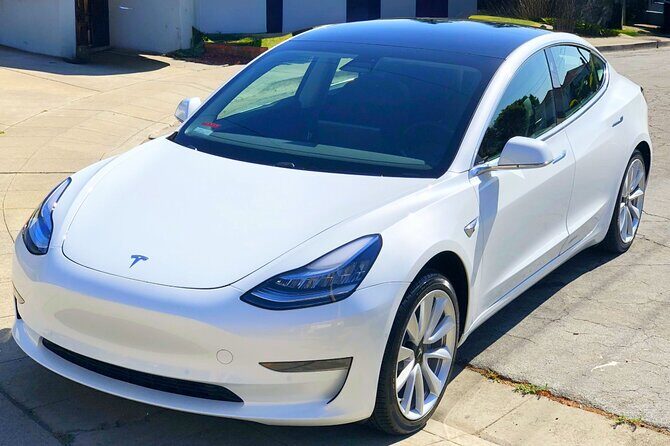 Private Tesla Transfer: Auckland, Tauranga, Rotorua, Taupo - Why Choose This Service?