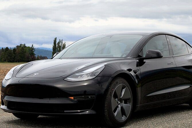 Private Tesla Transfer from Phoenix Airport to all Hotels - Who Should Consider This Service?