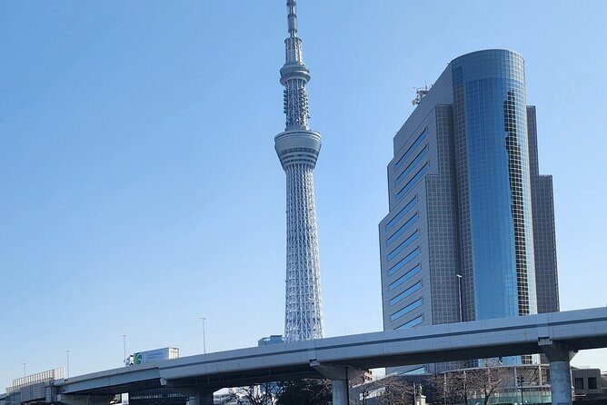 Private Tokyo City tour With English Speaking guide - Key Points
