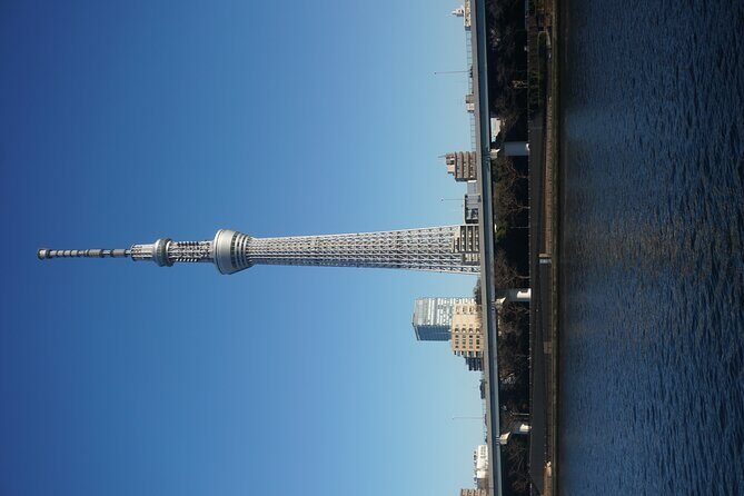 Private Tokyo Day-Tour by Car with English Speaking Guide. - The Sum Up