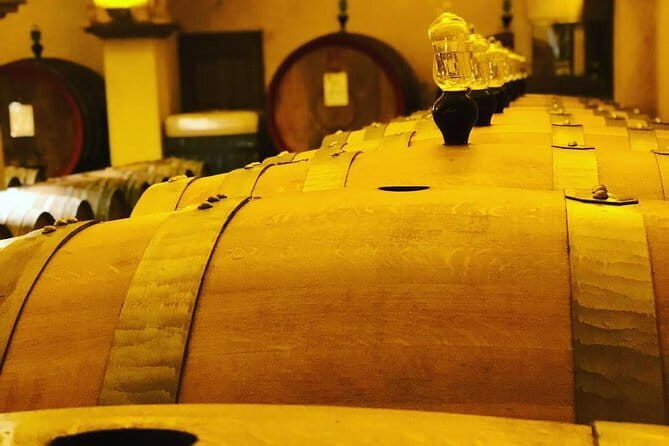 Private Top Brunello Montalcino Wine Tour & Food Pairing Session - Discover Tuscany’s Finest Brunello on a Private Wine Tour