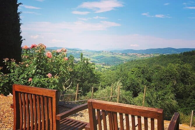 Private Top Brunello Montalcino Wine Tour & Food Pairing Session - An In-Depth Look at the Experience