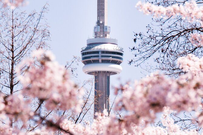 Private Toronto City Tour with Boat and CN Tower - What Travelers Say