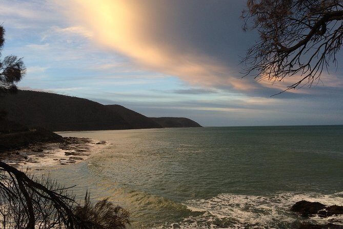 [PRIVATE TOUR] 12 Apostles | Great Ocean Road | Day Trip - Key Points