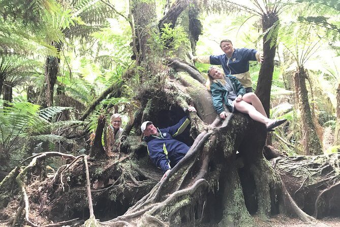 [PRIVATE TOUR] 12 Apostles | Great Ocean Road | Day Trip - Final Thoughts: Is It Worth It?