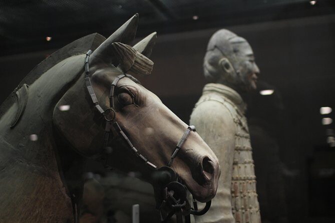Private Tour: 2-Day/3-Day Xi'an Round-Trip from Shanghai by Air - Why This Tour Excels: A Journey Through Time and Culture