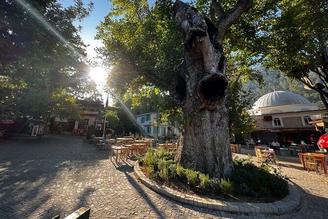 Private Tour 2,5h: Explore Hidden Gems of Marmaris and Peninsula - Frequently Asked Questions