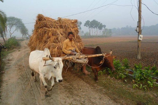 Private Tour: 4 Days - Bangladesh Life & Cultural Tour - The Ganges Delta Life - FAQs