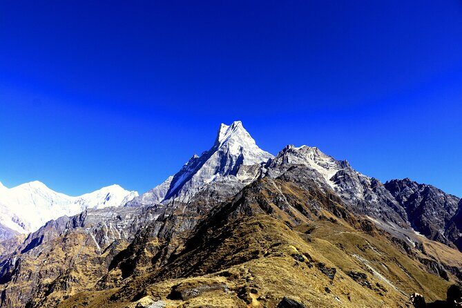 Private Tour 5 Day Mardi Himal Trek - Pricing and Value