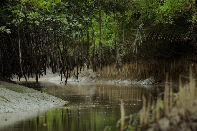 Private Tour: 9 Days - World Heritage Tour of Bangladesh - Final Thoughts