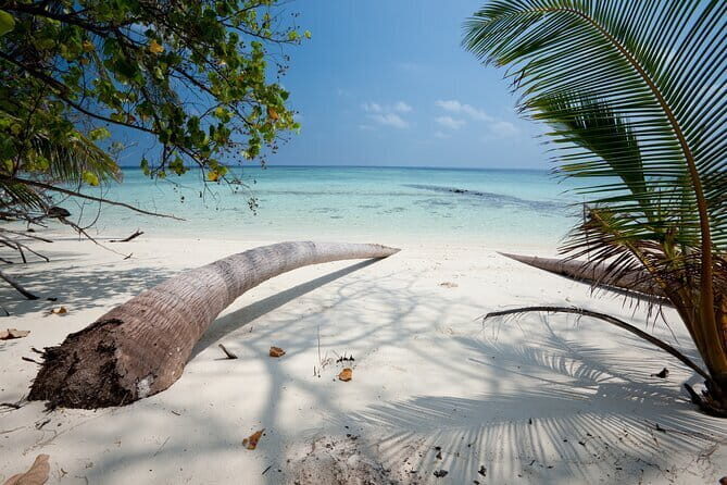Private Tour Addu Discovery: Culture, Nature & Kayaking Adventure - The Full Breakdown of the Addu Discovery Tour