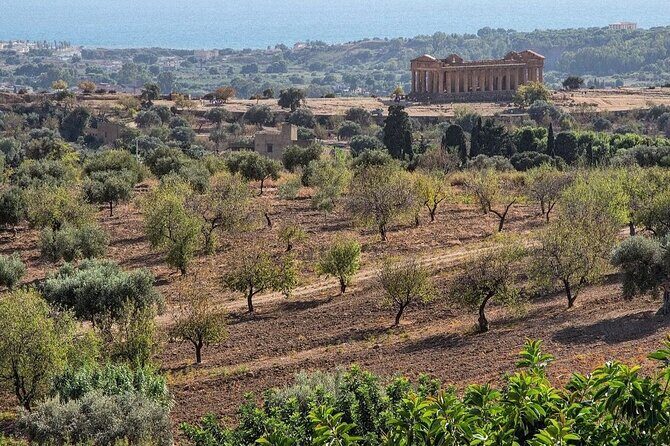 Private Tour Agrigento Valley of the Temples Park and Scala Dei Turchi - Who Is This Tour Best For?