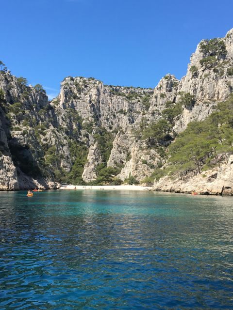 Private Tour Aix en Provence Cassis from Marseille - Analyzing Value: Is It Worth It?