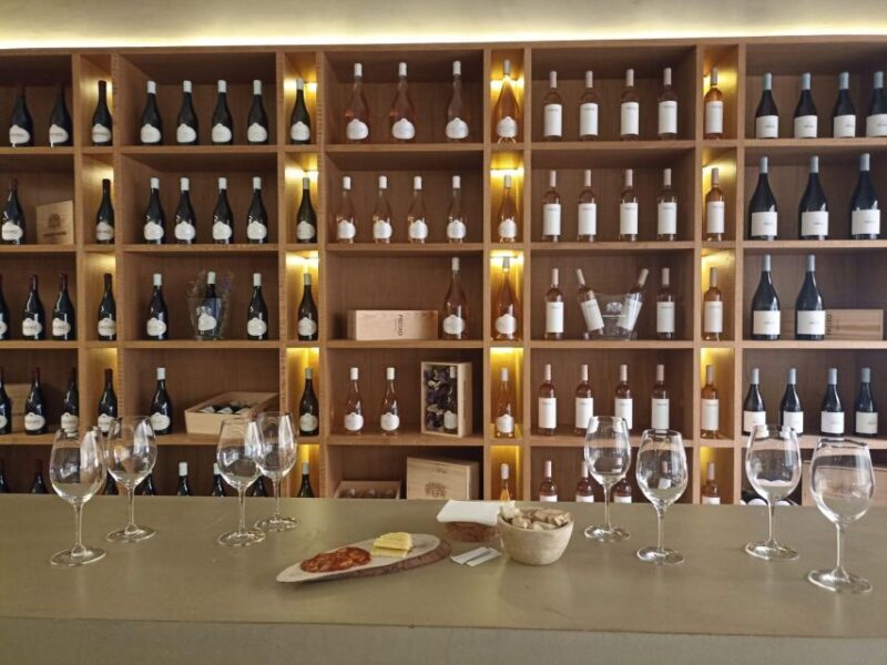 Private Tour Alentejo: Évora, WineTasting and Monsaraz - Detailed Breakdown of the Itinerary