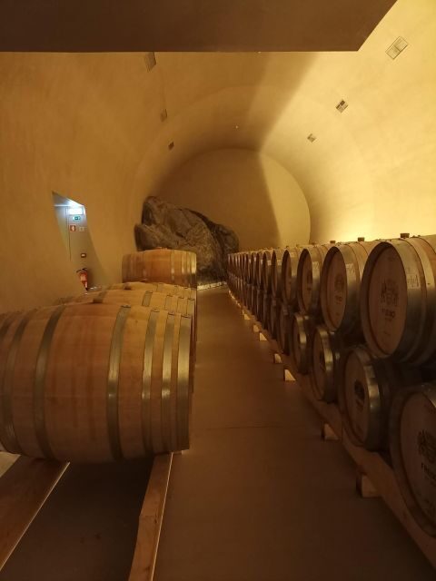 Private Tour Alentejo: Évora, WineTasting and Monsaraz - Who Should Consider This Tour