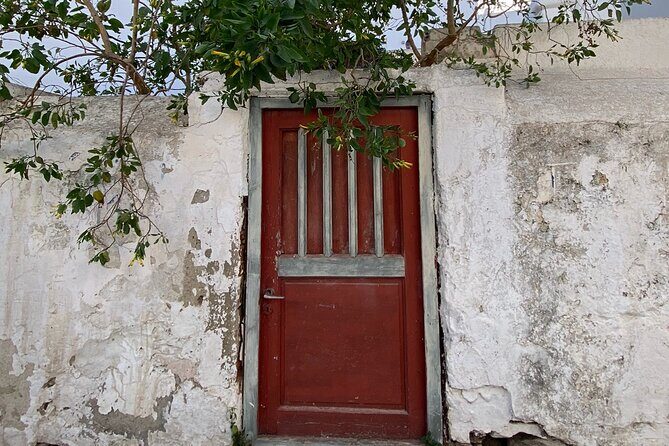 Private Tour: All The Highlights Of Mykonos You Have To See - Who Will Love This Tour?