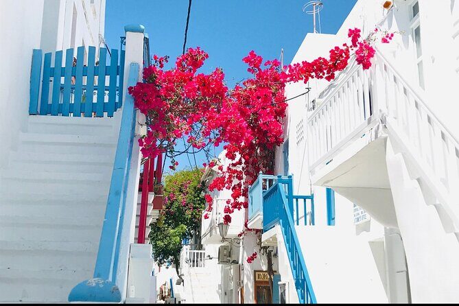 Private Tour: All The Highlights Of Mykonos You Have To See - Final Thoughts