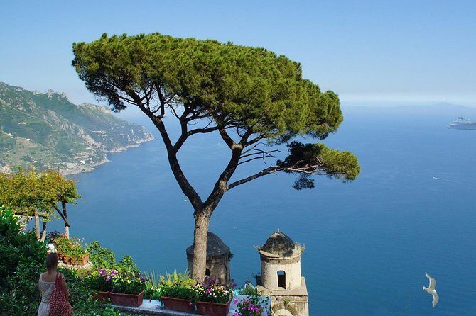 Private Tour - Amalfi Coast, Positano, Amalfi, Ravello - The Sum Up: Who Is This Tour Best For?