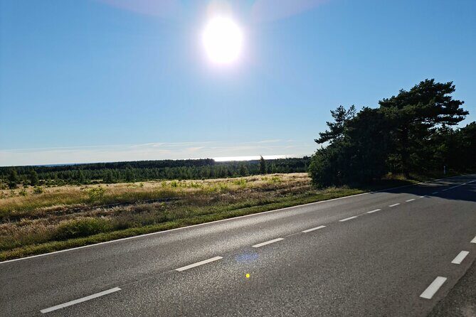 Private Tour: Amber Catching in Curionian Spit From Klaipeda - The Sum Up