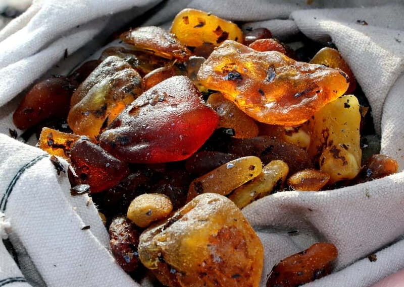 Private Tour: Amber Catching in Curonian Spit from Klaipeda - Starting Point: Klaipeda and Ferry Ride to the Curonian Spit