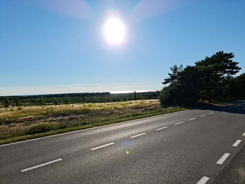 Private Tour: Amber Catching in Curonian Spit from Klaipeda - Amber Bay in Juodkrantė