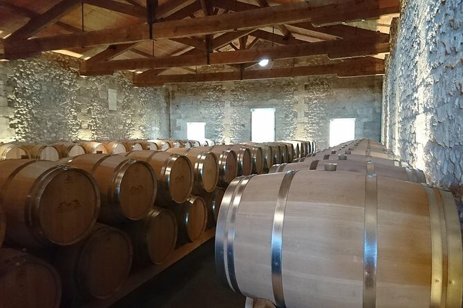 Private tour and visits on the Medoc Castle Route (Luxury Minivan) - A Detailed Look at the Médoc Private Tour Experience