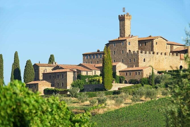 Private Tour and Wine Tasting at Castle-Wineries in Chianti from Florence - Analysis of Value and Cost