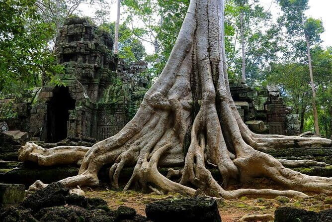 Private Tour-Angkor Complex Discovery - A Deep Dive Into the Itinerary